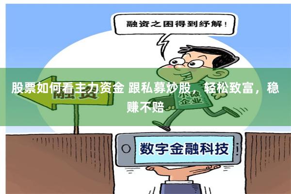 股票如何看主力资金 跟私募炒股，轻松致富，稳赚不赔